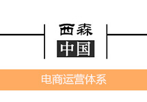 [西森·中國] 努力打造一支健康運營(yíng)電商團隊