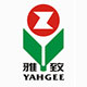 專(zhuān)業(yè)的解決方案 是雅致集團選擇西森的理由
