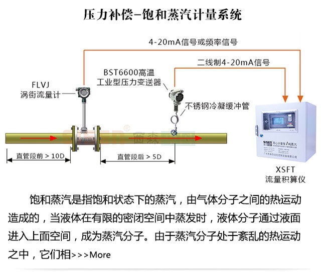壓力補償蒸汽質(zhì)量計量系統