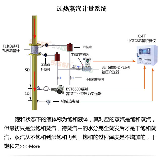 過(guò)熱蒸汽計量系統