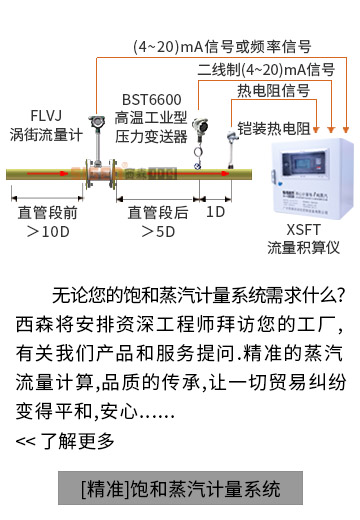 【精準】飽和蒸汽計量系統