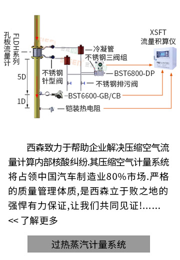 過(guò)熱蒸汽計量系統