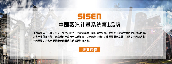中國蒸汽計量系統第1品牌.jpg